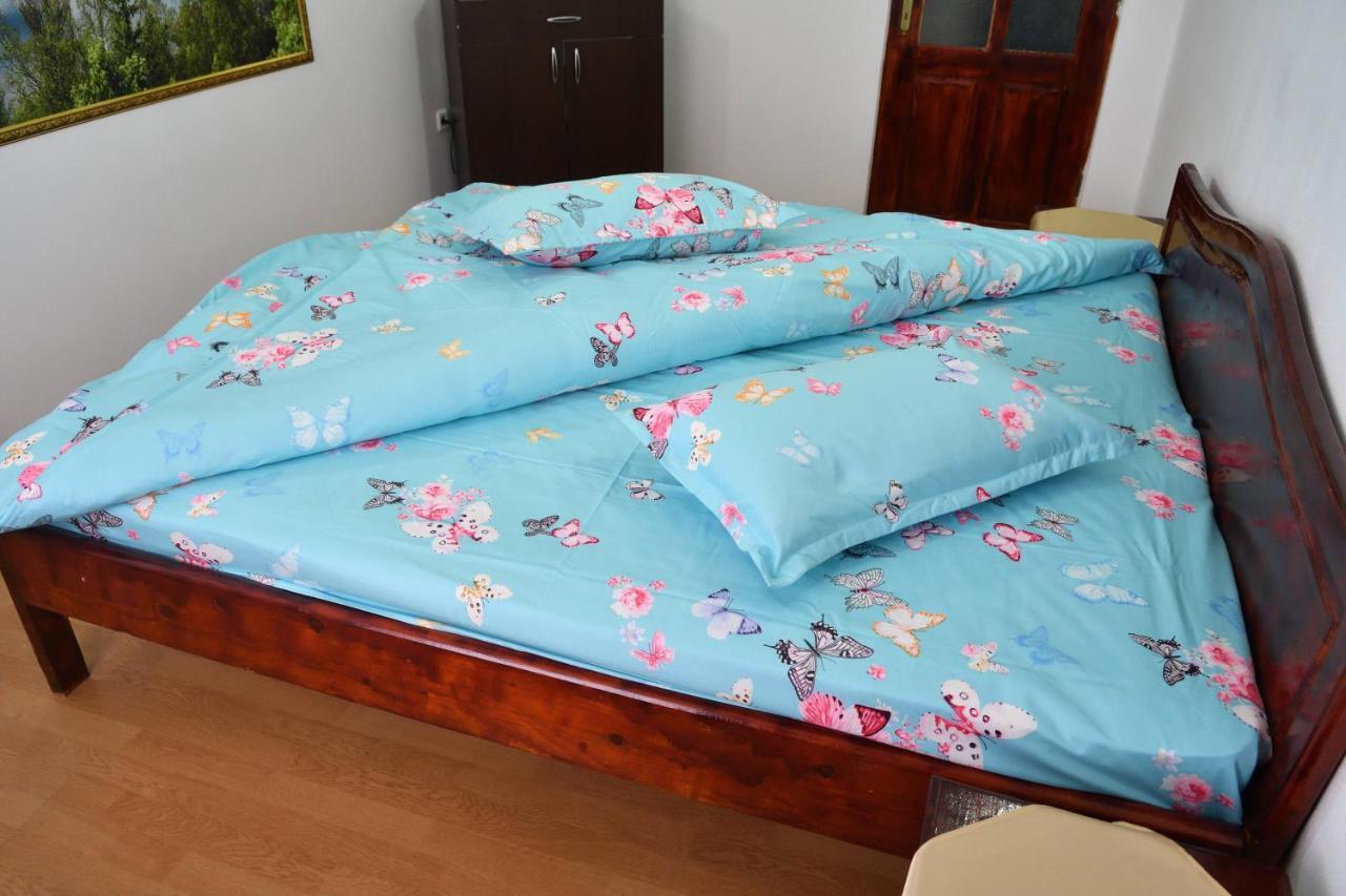 Casa Simescu I Pansiyon Caransebeş Dış mekan fotoğraf