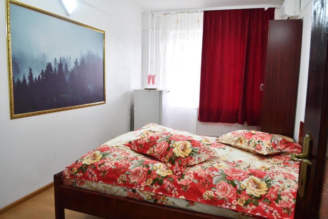 Casa Simescu I Pansiyon Caransebeş Dış mekan fotoğraf